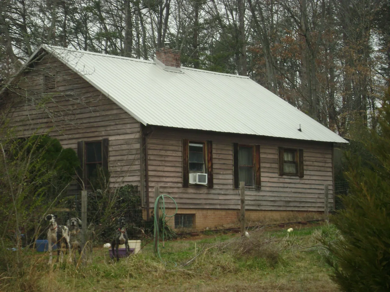 White metal roof on an old wood sided farmhouse, from a Asphalt Shingle Roof Repair job in Elmira